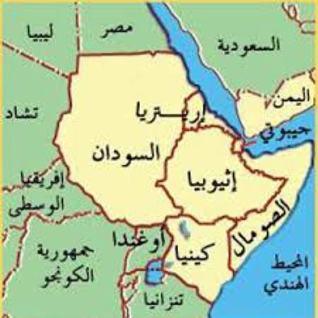 الصين تسعى لتشكيل منظمة اتحاد دول القرن الإفريقي