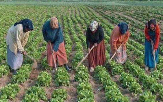 حوالي نصف نساء المغرب لا يستفدن من أي تغطية صحية