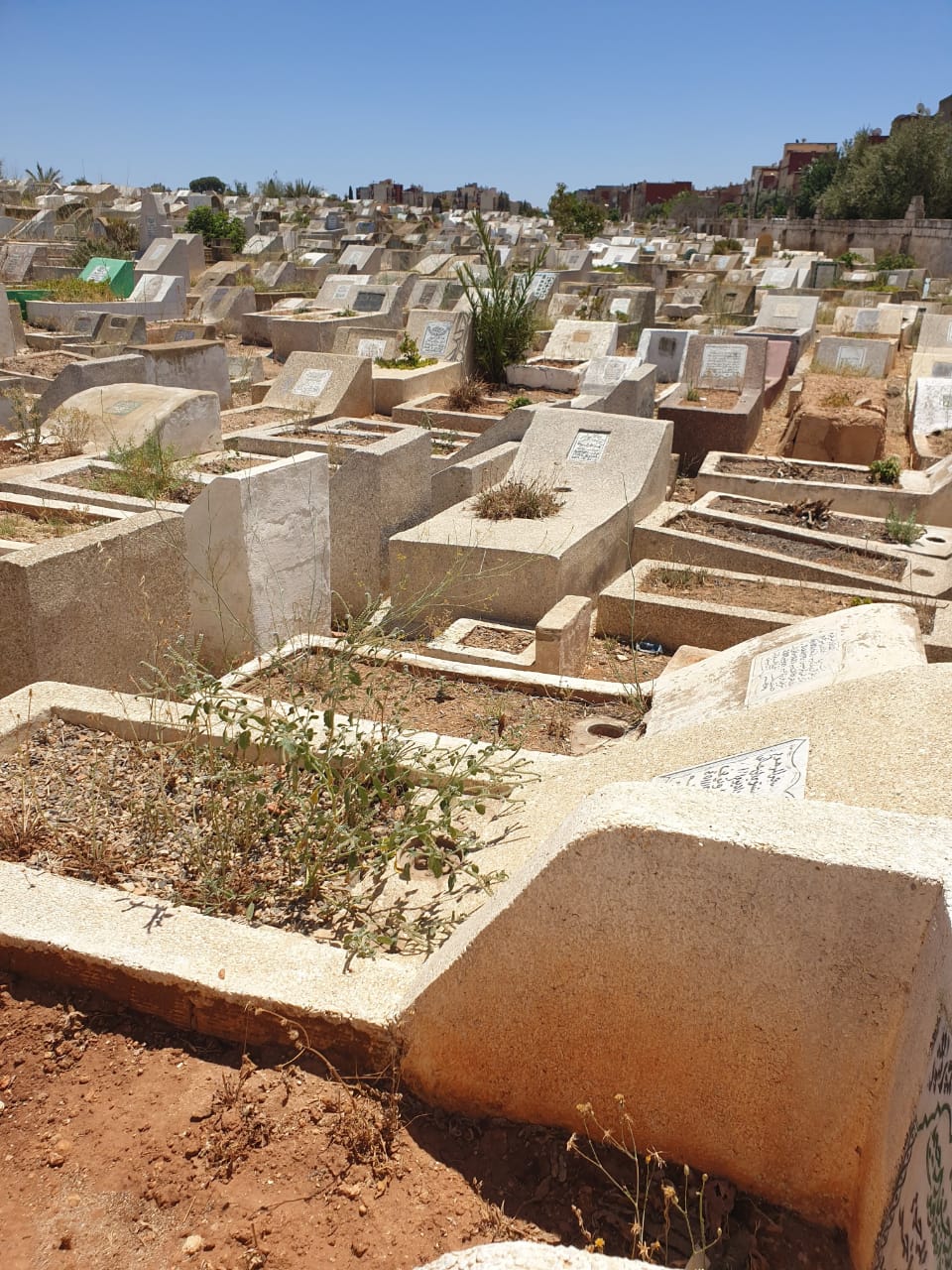 مقاربة القرب بالمقابر غير واضحة في غياب تدبير شأن الأموات بمكناس