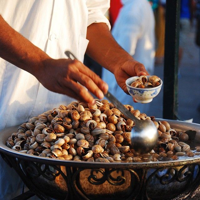 انقراض الحلزون يعني الإخلال بالتنوع البيولوجي وانهيار البيئة لنحافظ عليه