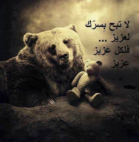 حكمة اليوم