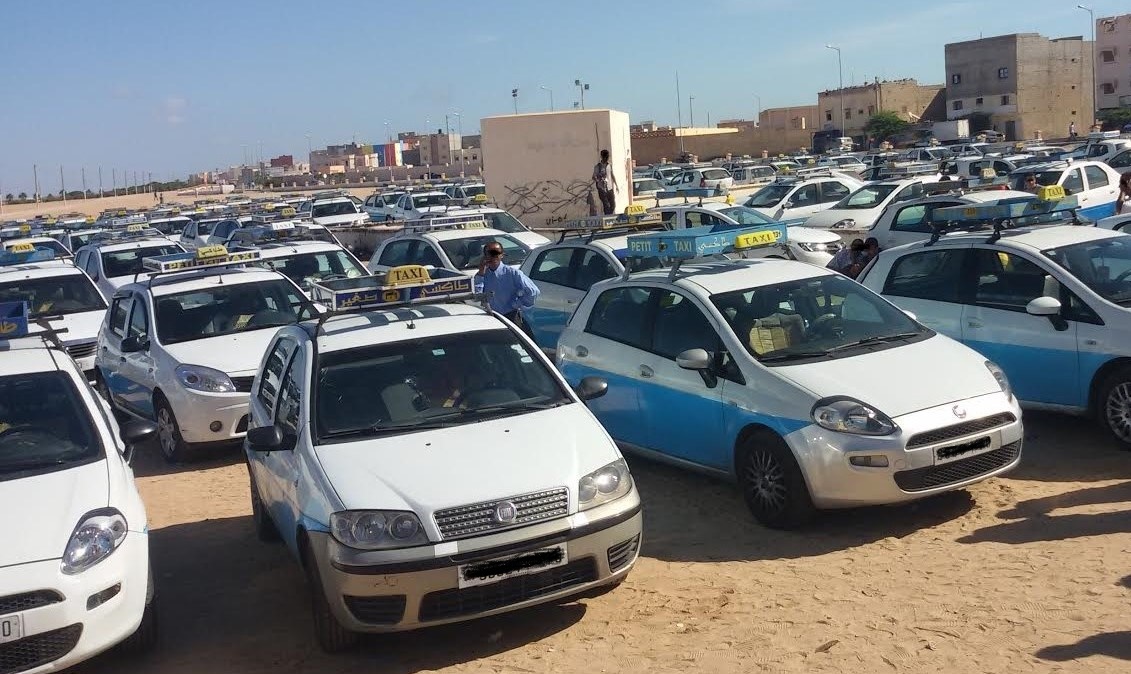وزارة النقل تعلن انطلاق عملية التسجيل للحصول على الدعم لفائدة مهنيي النقل