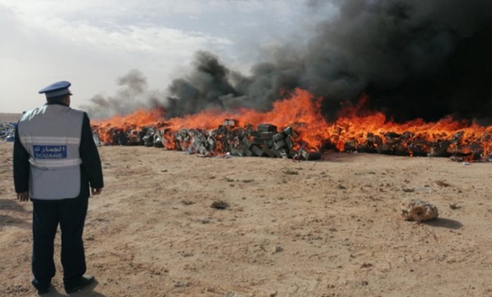 إحراق وإتلاف كمية كبيرة من مخدر الشيرا بالداخلة
