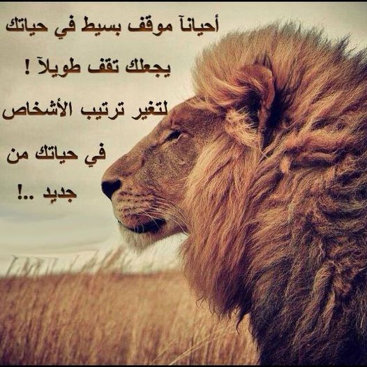 حكمة اليوم الثلاثاء 19/07/2022