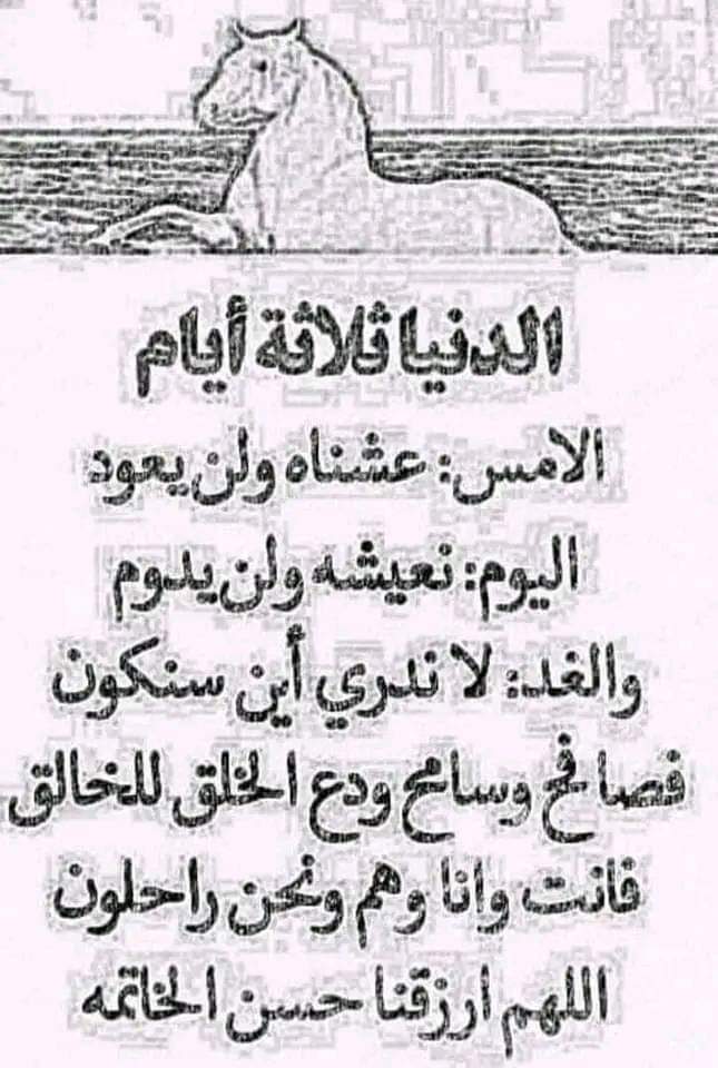 حكمة اليوم السبت 09يوليوز 2022
