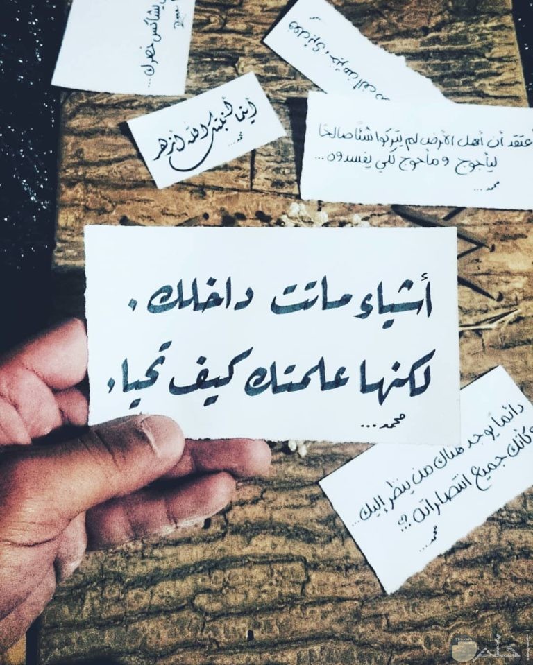 حكمة اليوم 26/072022