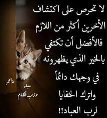 من مأثور الكلام والحكم