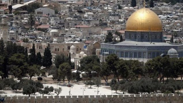 الجزائرهمهاعرقلت القضايا العربية والإسلامية والقضية الفلسطينية