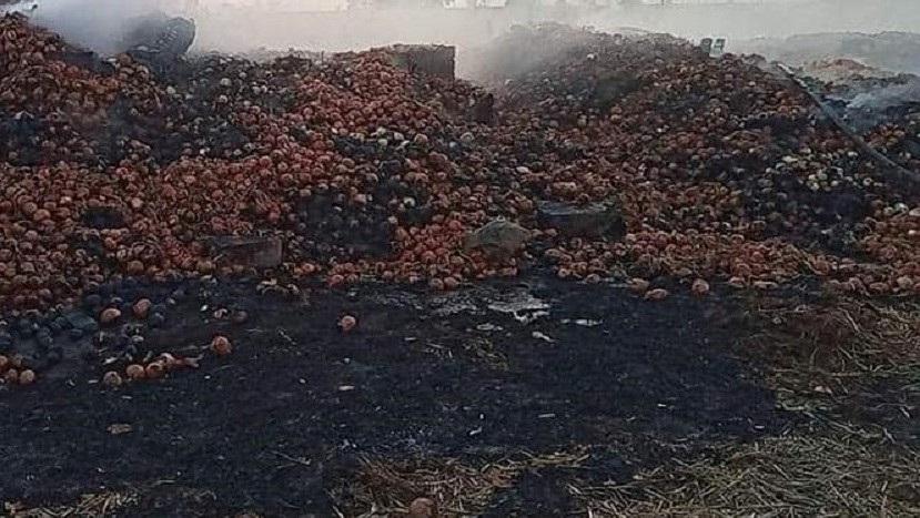إضرام النار عمدا في 40 طنا من البصل والمشتبه فيه رهن لتحقيق