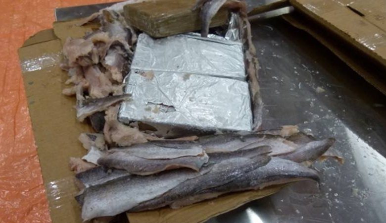 إحباط محاولة تهريب الكوكايين عبر القارات تضبط بطنجة