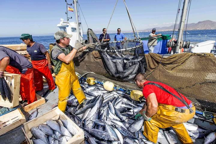 حكومة الأندلس تدعو اسبانيا إلى تجديد اتفاقية الصيد البحري مع المغرب