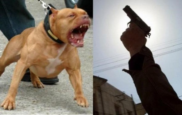 شرطي يضطر لاستعمال سلاحه الوظيفي خلال تدخل لتوقيف ثلاثة أشخاص