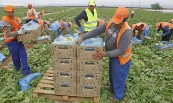 توقيع اتفاقية لتشغيل العمال الزراعيين الموسميين المغاربة في فرنسا