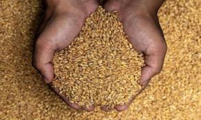 إنهاء الجدل القائم حول دعم غاز البوتان والقمح والسكر