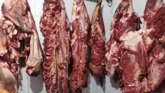 أحكام بالسجن والغرامة في حق شبكة الذبيحة السرية بفاس
