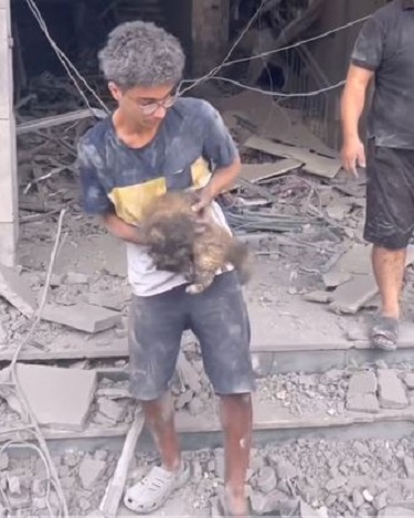 لم يتخل عن أليفه.. فكيف يتخلى عن أرضه؟ أطفال غزة يحتضنون حيواناتهم رغم القصف والدمار