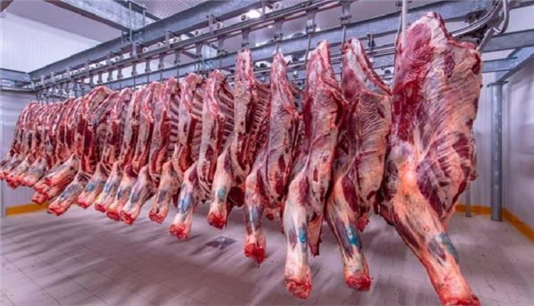 تخوفات من استمرارارتفاع أسعار اللحوم الحمراء قبل حلول عيد الأضحى