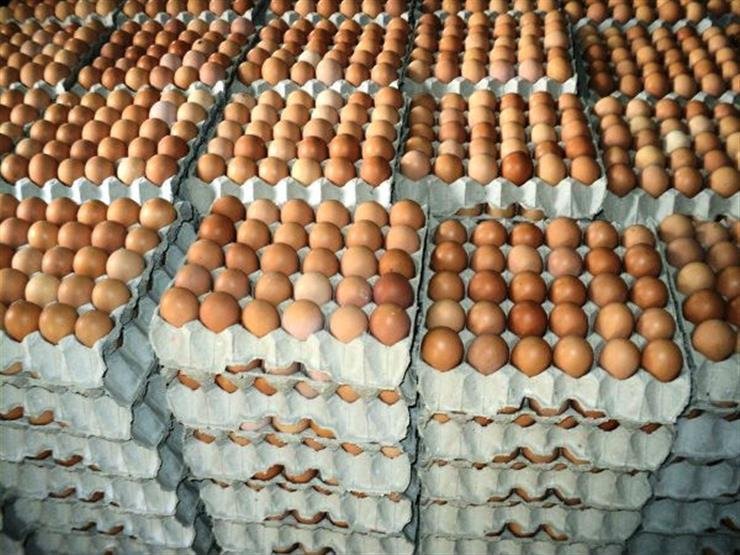 أسعار بيع البيض في ارتفاع والمواطنون مستاؤون
