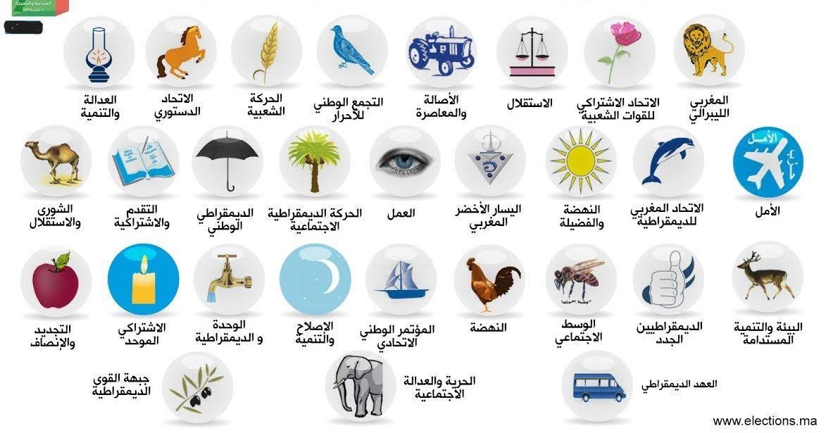أي دور للأحزاب السياسية في تخليق العمل الحزبي؟