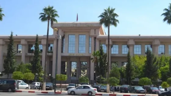 الدائرة القضائية لمحكمة الاستئناف بمكناس: عدد القضايا المحكومة بلغ أزيد من 206 آلاف قضية سنة 2023