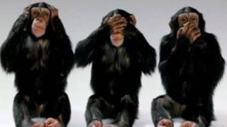 Les trois macaques.