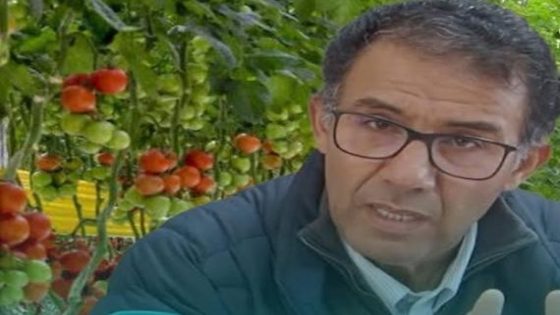 السعيدي ينفي ما يتداوله المزارعون الفرنسيون حول اتفاق تعليق صادرات المغرب من الطماطم إلى فرنسا