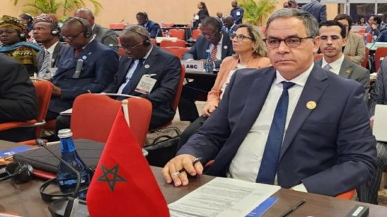 المغرب يؤكد على ضرورة مؤسسة إفريقية فعالة تلبي تطلعات المواطنين الأفارقة