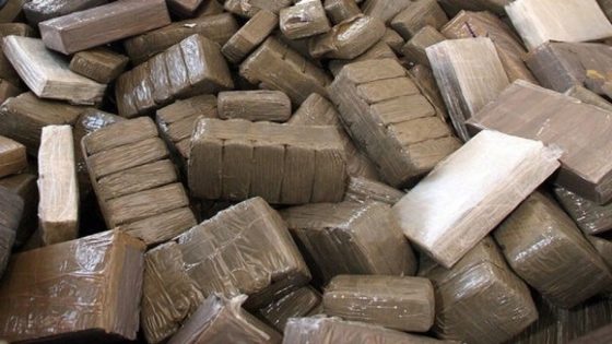 تمارة.. إجهاض محاولة تهريب أزيد من 4 أطنان من الشيرا