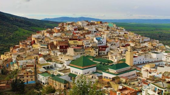 مولاي إدريس الأكبر مؤسس أول حضارة عربية وإسلامية بالمغرب. (130-177هـ)