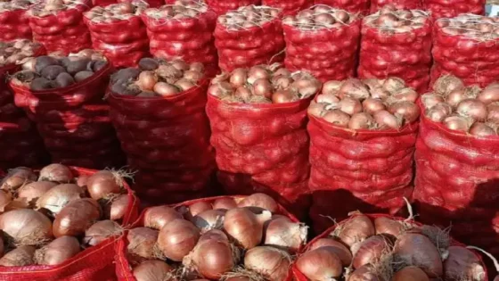 ارتفاع صاروخي في أسعار البصل يثير استياء المغاربة