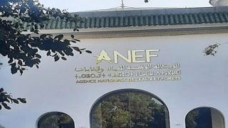 تعديلات قانونية تثير الغضب داخل الوكالة الوطنية للمياه والغابات وسط مطالب بالحفاظ على صفة الموظف العمومي