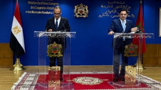 وزير الخارجية المصري: مصر تدعم سيادة الدول ووحدتها الترابية