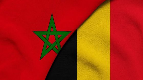 بوشيه يلوّح بتشديد المراقبة على مستفيدي الإعانات: “منازل في المغرب وتعويضات من بلجيكا”