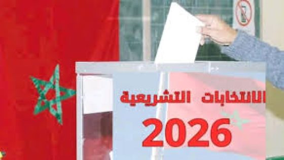 التحايل على القانون الانتخابي: تبييض السوابق الانتخابية