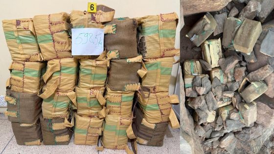 إحباط محاولة تهريب دولي للمخدرات