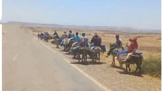 مسيرة الحمير… صرخة عطش من دواوير زكوطة إلى السلطات والمنتخبين