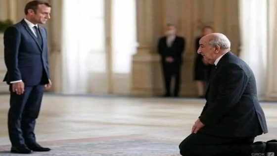 توقعات حول قرب سقوط تبون أو حدوث انقلاب داخلي ضد قيادات “شتقريخة”