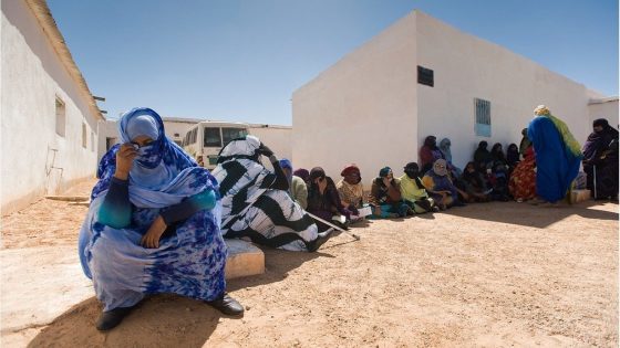 فضح انتهاكات البوليساريو في مجلس حقوق الإنسان: محامٍ يطالب بتحقيق أممي في قضية جادييتو محمد