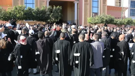 إضراب وطني شامل للمحامين احتجاجًا على مشروع قانون المهنة