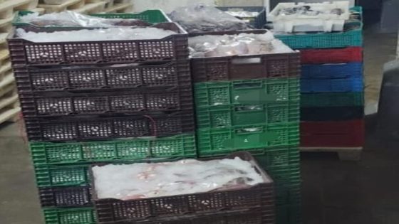 إحباط تهريب خمسة أطنان من الأسماك بالداخلة وتوقيف سبعة مشتبه فيهم