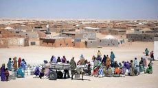 Un analyste américain appelle à la fermeture des camps de Tindouf et à réorienter les efforts vers une solution politique au conflit