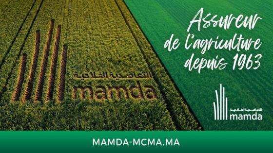 الذكاء الاصطناعي وحضارات المستقبل: “عدم الانسياق وراء حتمية تكنولوجية خالصة” (السيد أندري أزولاي)