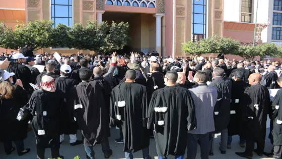 إجماع برلماني على مراجعة سن الولوج إلى مهنة المحاماة وتعزيز تكافؤ الفرص