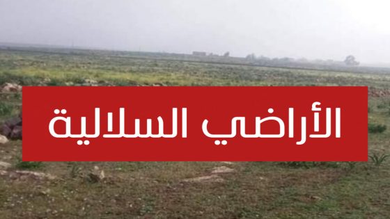 مرسوم حكومي يعفي الأراضي السلالية “البورية “من رسوم التحفيظ دعماً لتمليك المستغلين