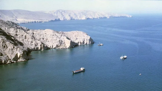 L’Organisation maritime internationale met en garde contre l’imposition de frais de transit dans le détroit d’Ormuz et la qualifie de « précédent dangereux »