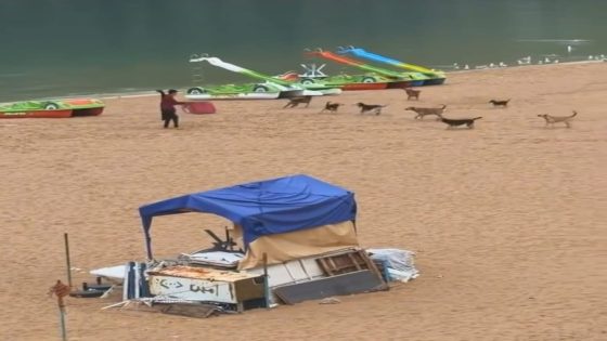 فيديو صادم يفضح قسوة “المشاهدة بدل المساعدة”..