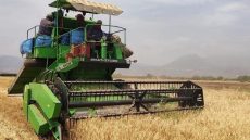 أزمة الحصاد بالمغرب.. غلاء الآلات وندرتها يهددان المحاصيل ويثقلان كاهل الفلاحين