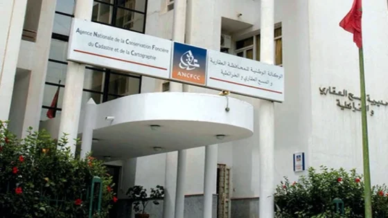 سجل جديد للوكالات العقارية.. المغرب يعزز حماية الملكية ويضيق الخناق على التزوير