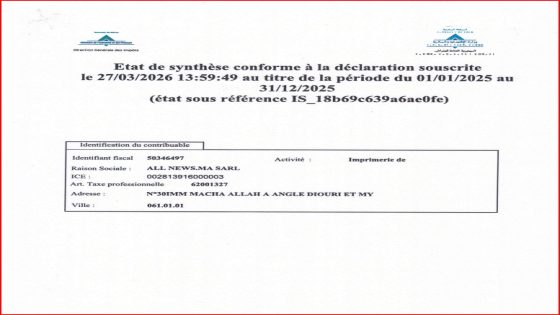 Etat de synthèse confrome à la déclaration souscrite le 27/03/2026 au titre de la période du 01/01/2025 au 31/12/2025