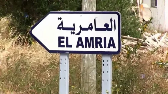 عبارة من قاموس القذافي تُطيح بمسؤول محلي جزائري